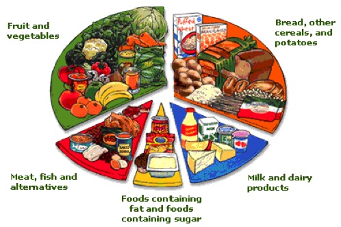 food group diagram , showing fruit and vegetables, meat and fish, sugar, bread and milk and dairy