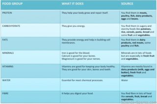 Food Groups Menu Project Food groups for kids