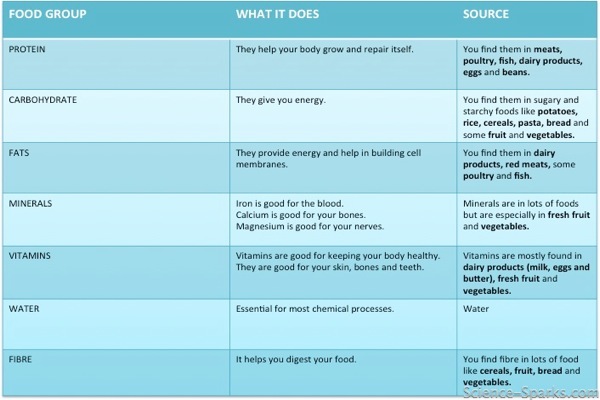 Food Groups, Science Sparks