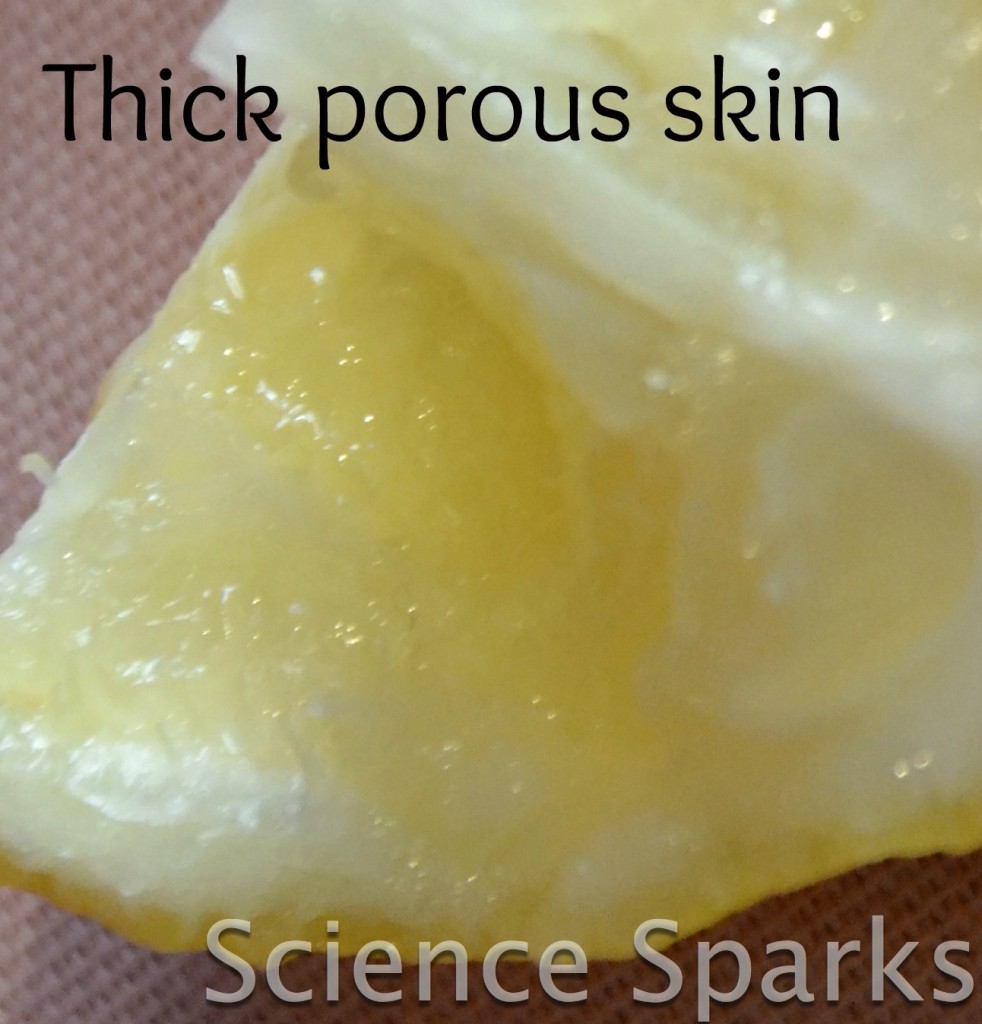 thick lemon skn