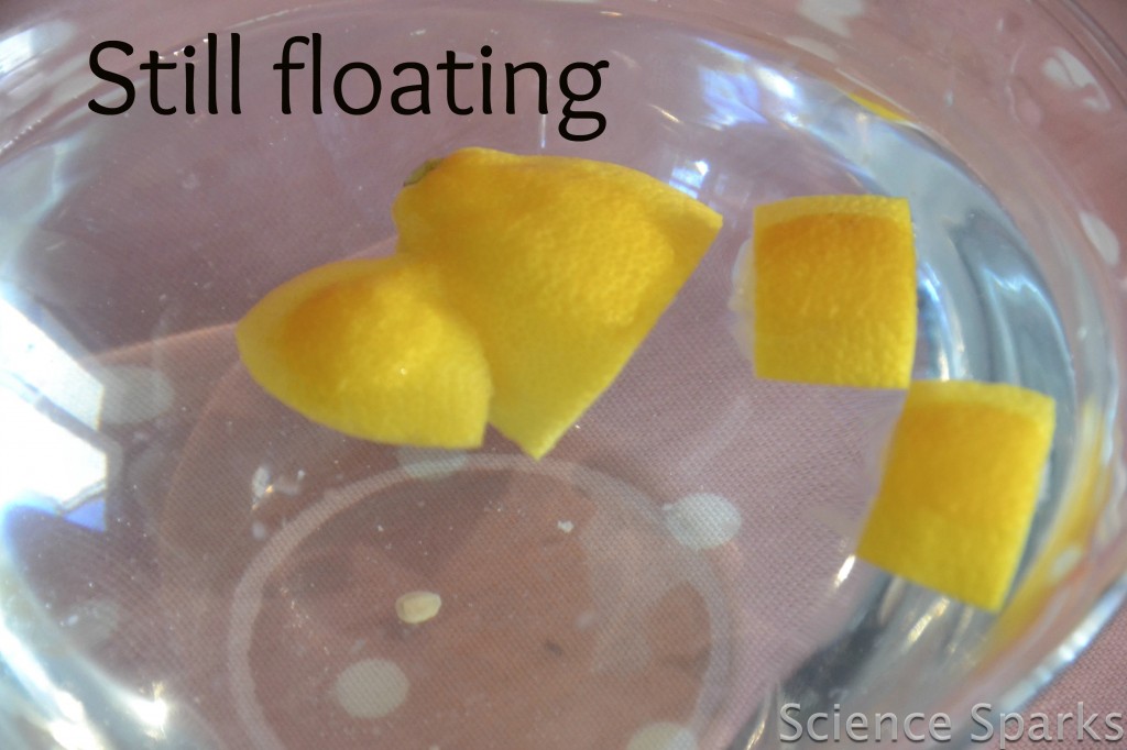 pieces of lemon floating in a bowl of water