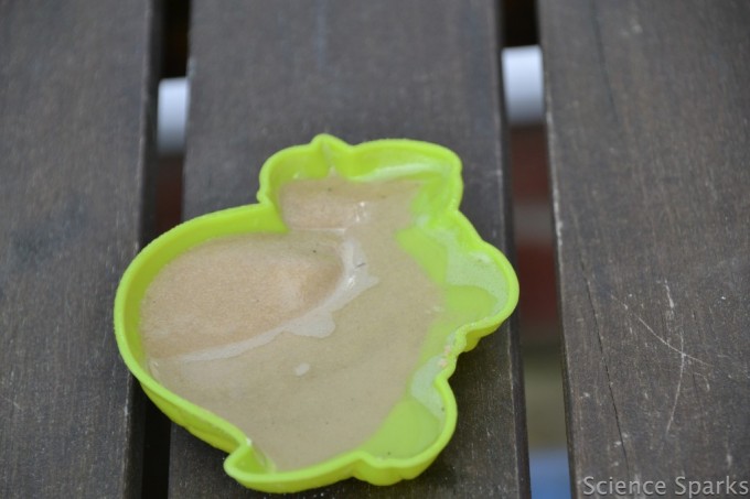 sand and water in a turtle shaped plastic container for an evaporation investigation