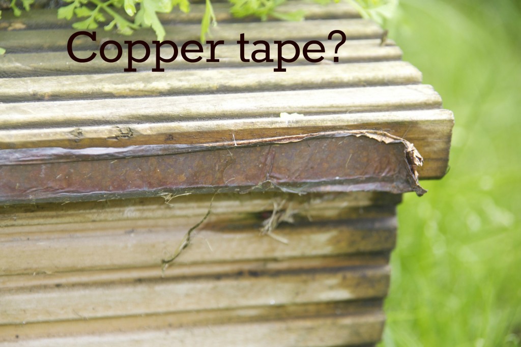 copper take around a planter to stop slugs eating the plants