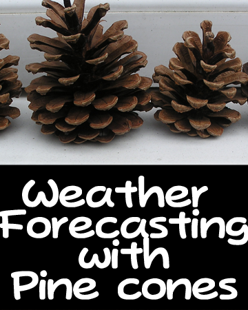 pinecone weather station