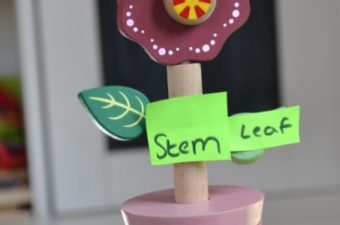 Biology - Science Sparks