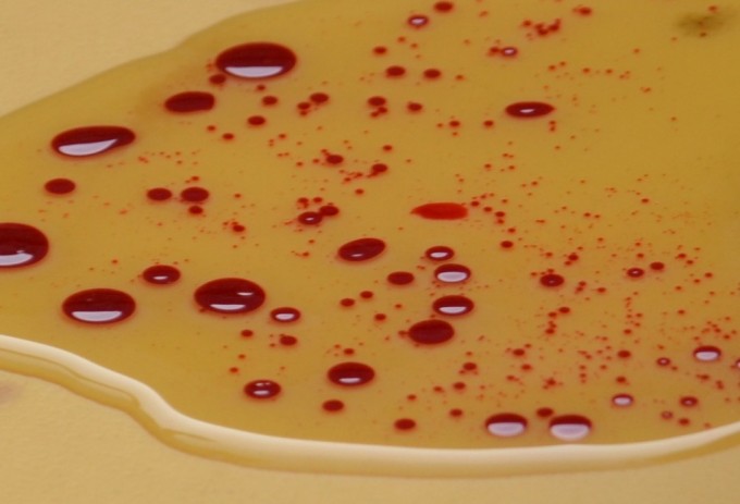 Coloured water and oil droplets suspended in water to demonstrate how oil and water do not mix.