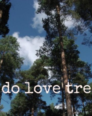 How tall is a tree
