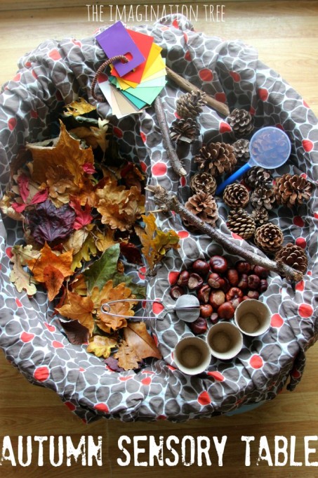 Autumn sensory table full of colourful leaves, pinecone and conkers