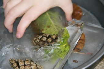 Preschool science activities