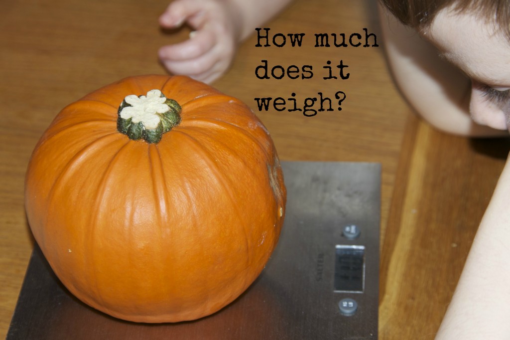 pumpkin on scales for a learning activity
