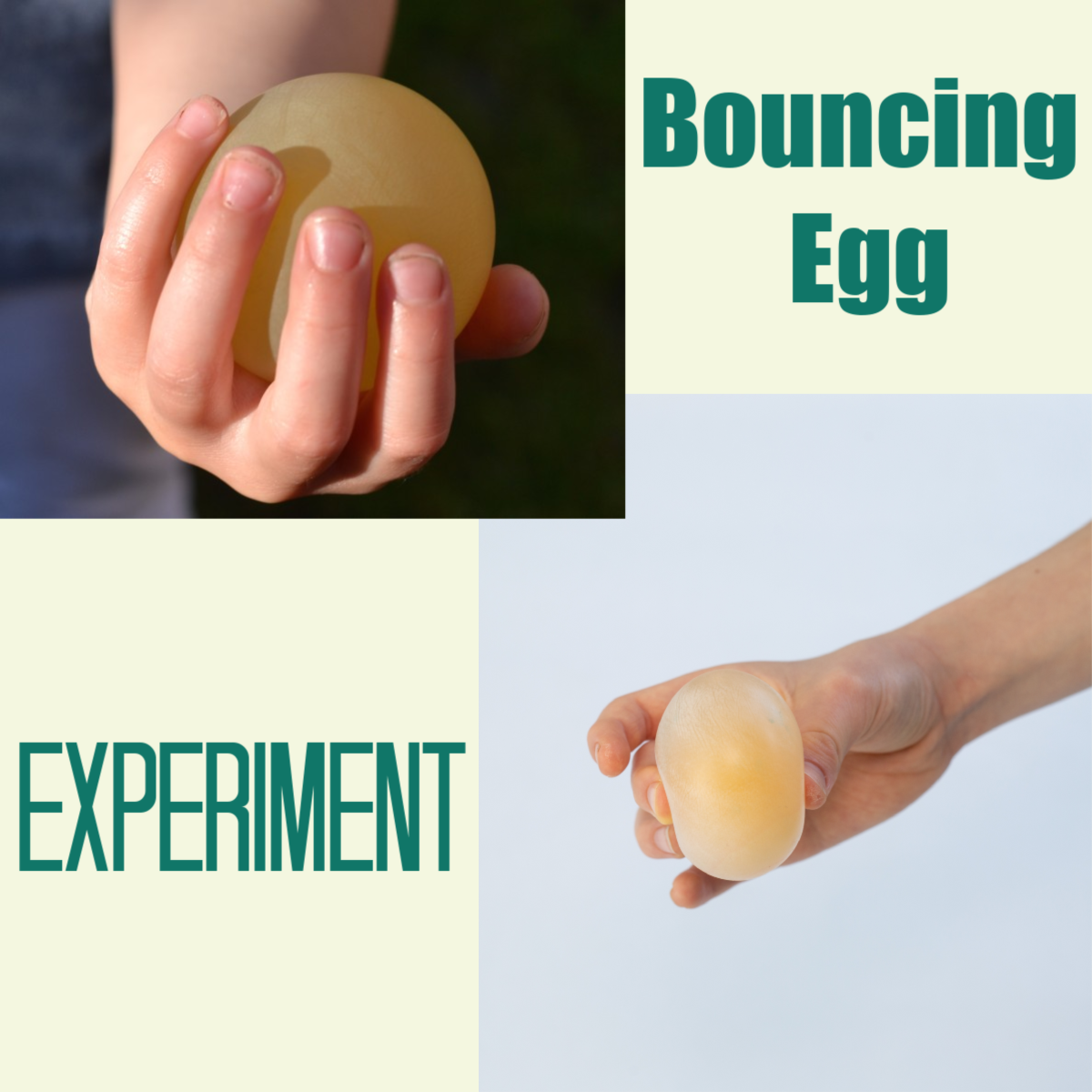 Quick Kitchen Science - Bouncy Egg Experiment | Macaroni 