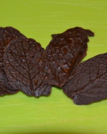 Chocolate leaves