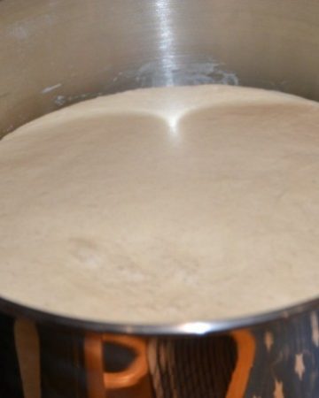 Bread dough before rising