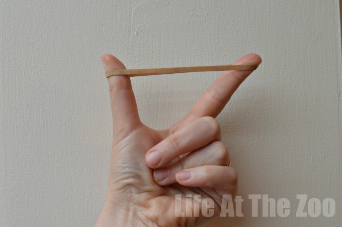 elastic band between 2 fingers for a sound science experiment