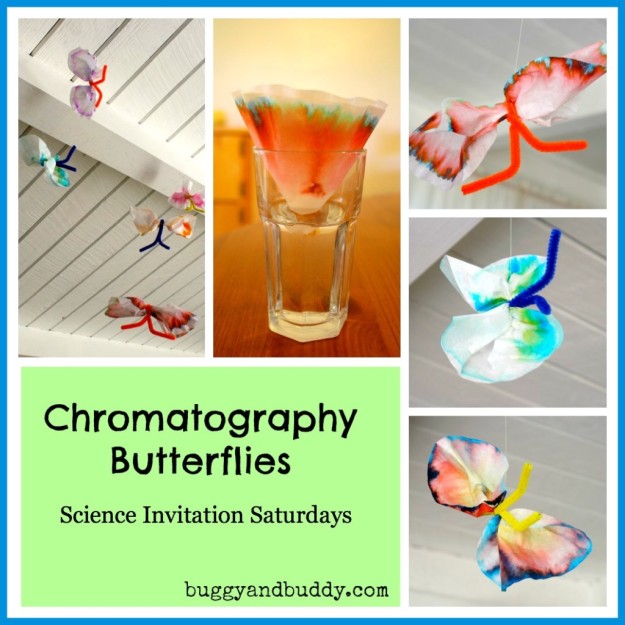 Chromatography Butterflies - creative science for kids