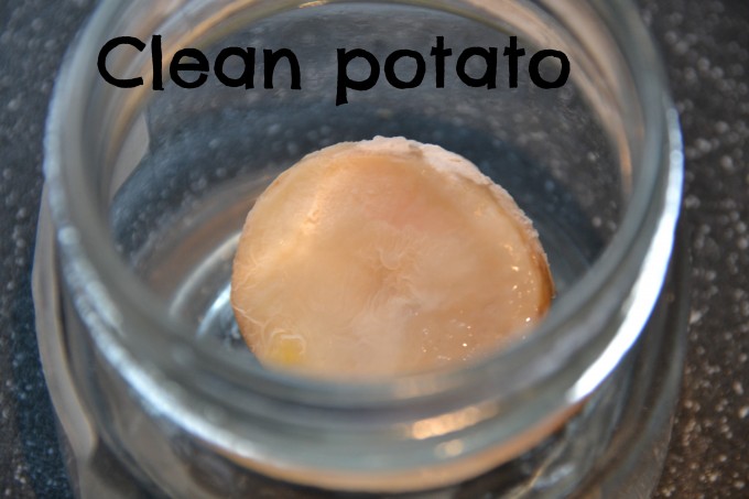 potato in a jar looking slimy