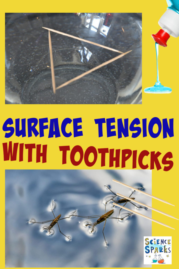 toothpicks on the surface of water for a surface tension experiment.