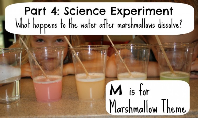 marshmallow experiment 