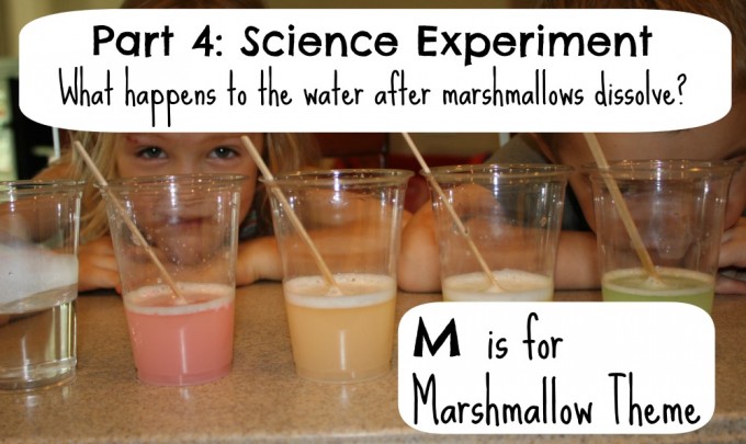 marshmallow experiment