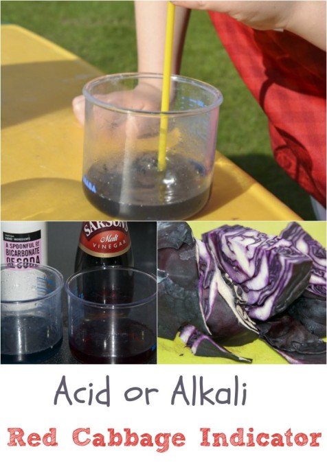 Image of red cabbage indicator being used in a chemistry experiment