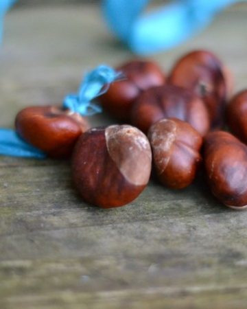 conkers