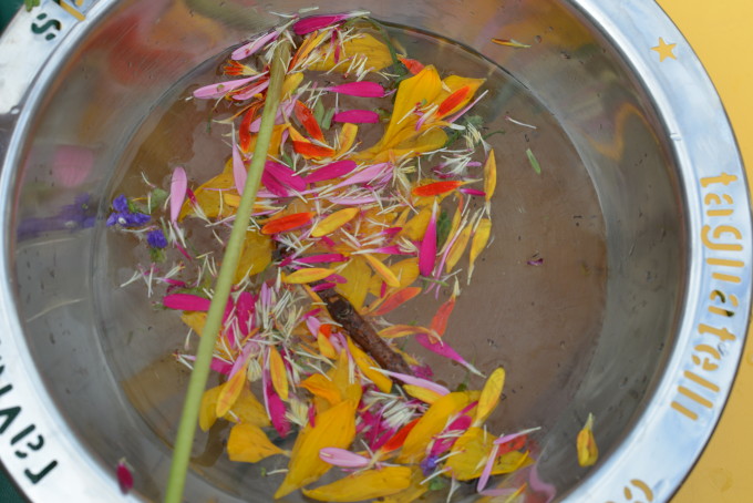 magic potion made with petals, sticks and leaves