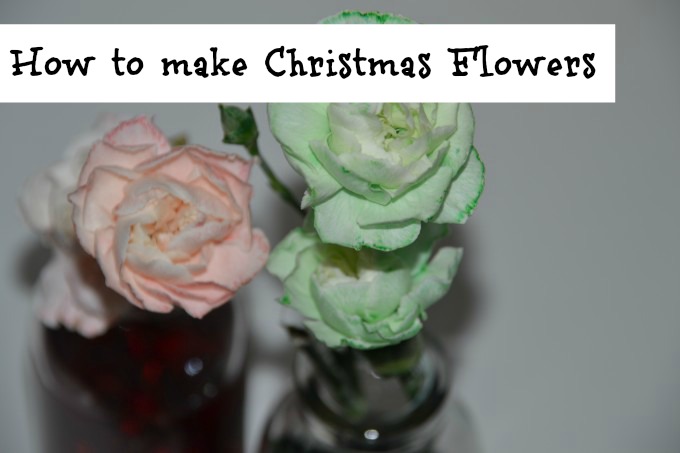 How to make Christmas Flowers