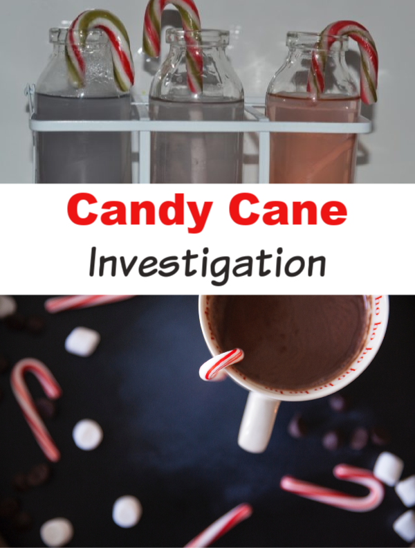 Candy Cane Experiment - easy candy cane experiment for kids #candycanescience #candycaneactivities
