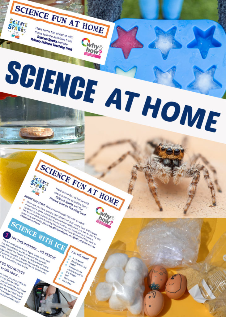 science experiment sheets for science home