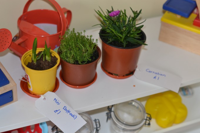 Flower shop play for Early Years -  Plant Science for Kids