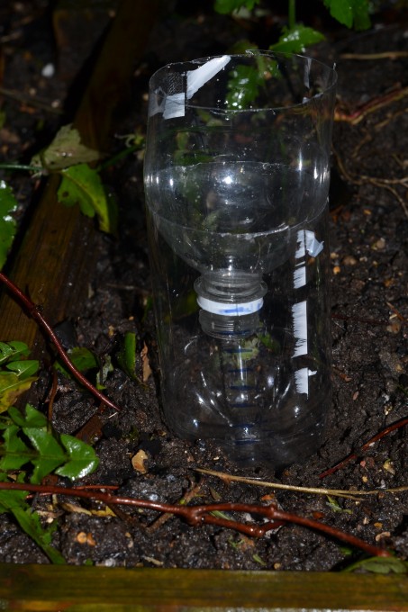 Homemade rain gauge made from a plastic bottle