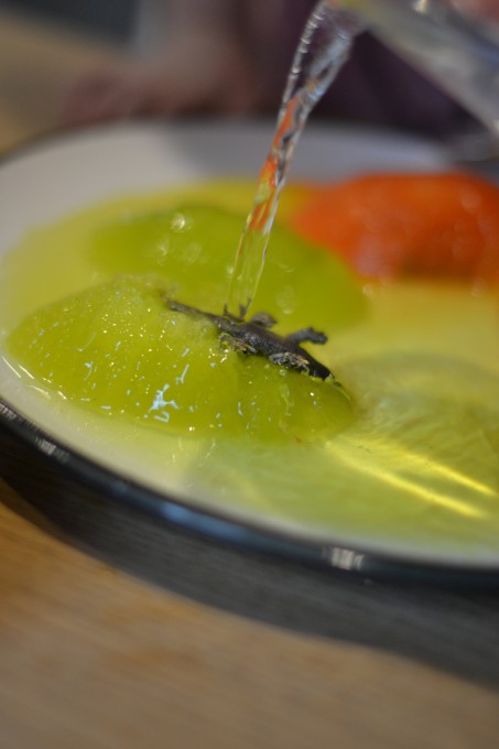Melting ice with arm water science activity