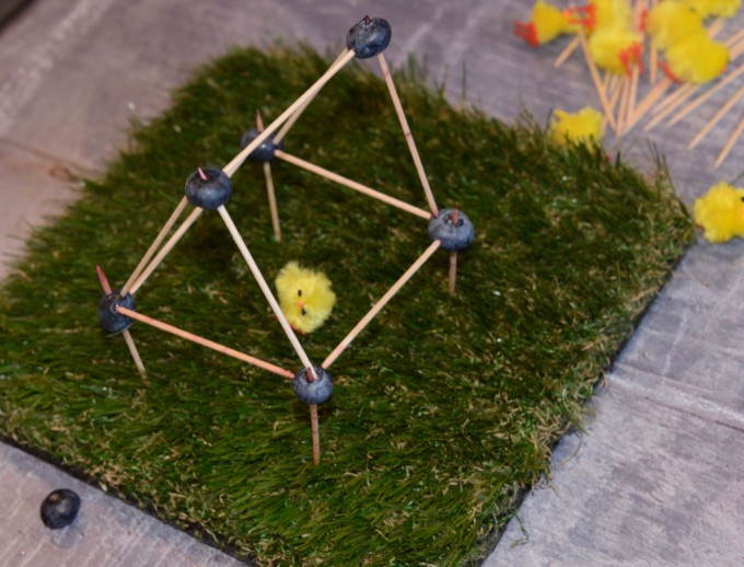 toothpick chick house made with blueberries and toohtpicks
