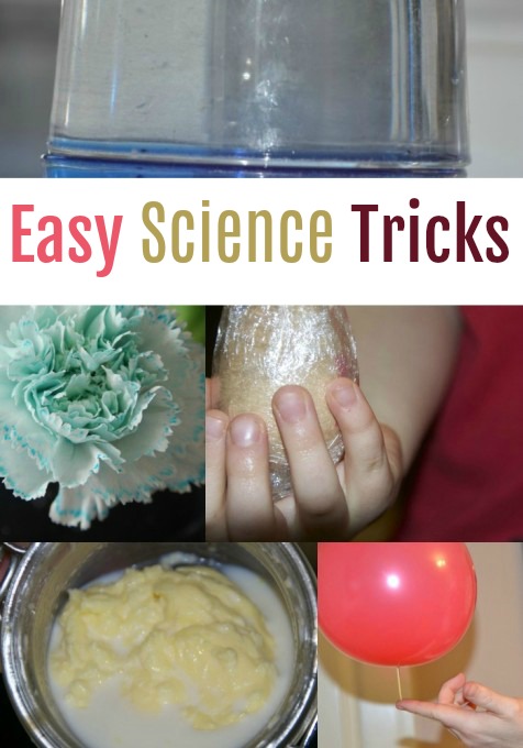 Easy science tricks for kids ( and adults ). Make an unbreakable egg, push a skewer through a balloon, make colour changing flowers and more fun science tricks #scienceforkids #sciencetricks