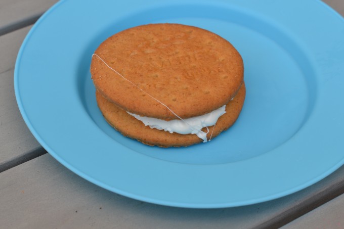 S'more made in a solar oven