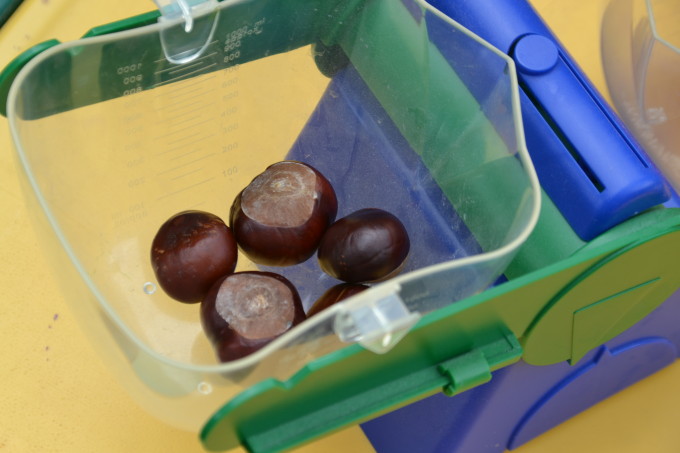 5 conkers in a scale being weighed