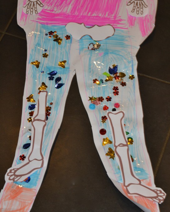 The Human Skeleton – why do we have bones?