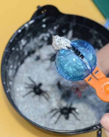 Halloween chia seed slime