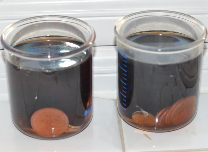 Coins soaking in vinegar to clean them