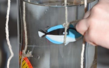 Jar of water with sand at the bottom and toy fish. The jar has litter and black food colouring in to demonstrate the effect of pollution of marine animals.