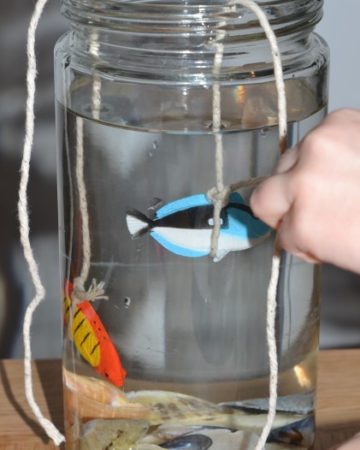 Jar of water with sand at the bottom and toy fish. The jar has litter and black food colouring in to demonstrate the effect of pollution of marine animals.