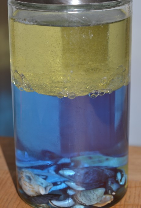 Ocean themed density bottle or sensory jar. A great sensory activity for Early Years