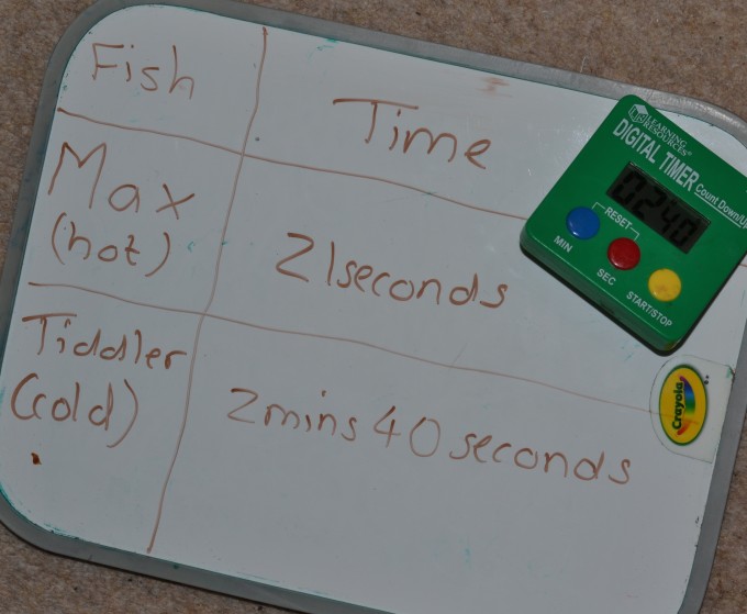 results of an ice experiment for kids