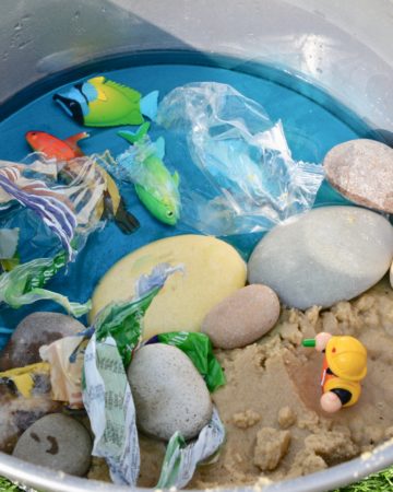 Sea Pollution Small Play set up