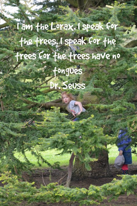 The Lorax Activities