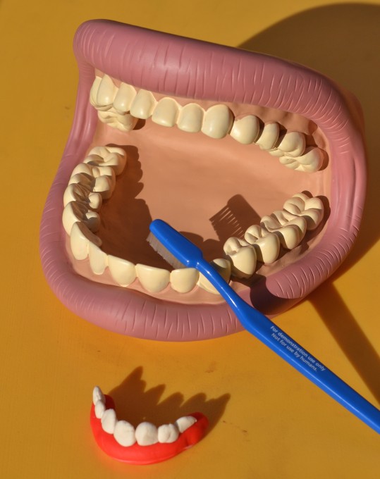 Egg Experiment For Tooth Decay