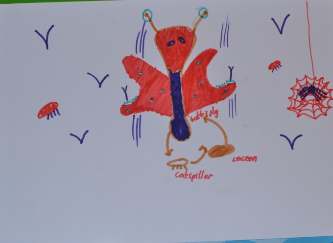 The Very Hungry Caterpillar
