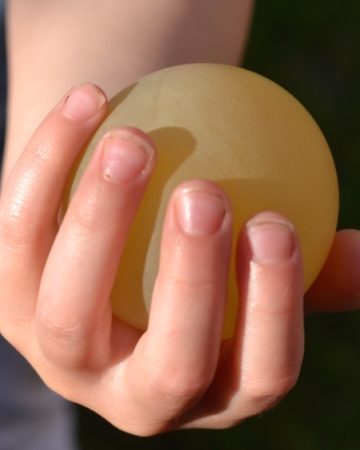 egg with no shell