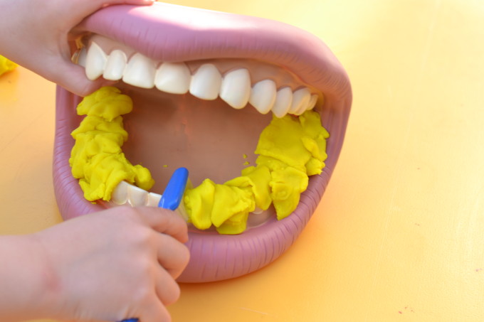 giant teeth to demonstrate tooth decay
