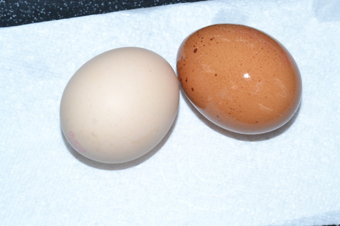 eggs stained with a fizzy drink or coffee and tea